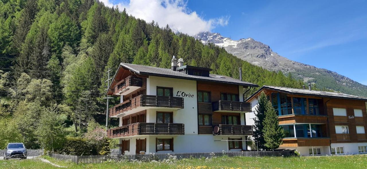 Free Cable Car & Bus In The Summer Haus L'Oree ザース・グルント エクステリア 写真